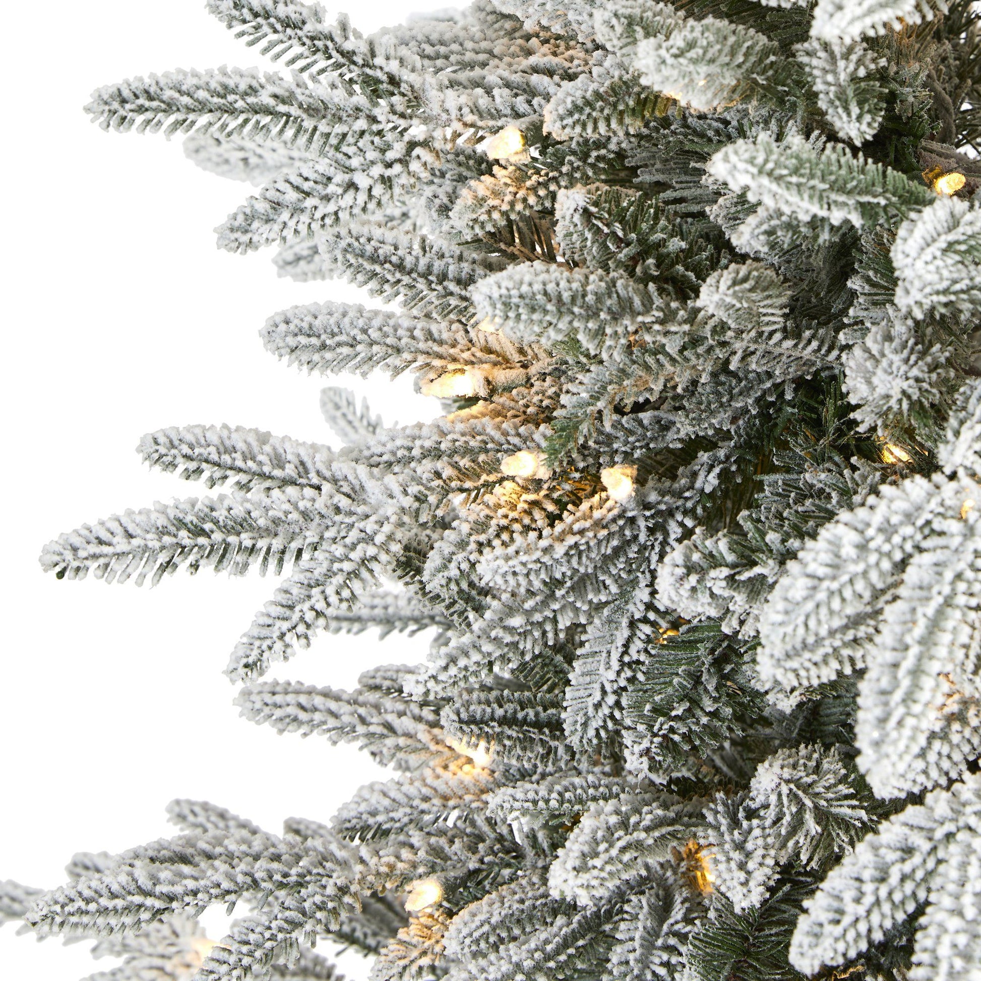 5.5' Flocked Manchester Spruce Christmas Tree with 200 lights and bendable branches on Tampa Home & Garden Store