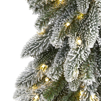 5.5’ Flocked Washington Alpine Artificial Christmas Tree Nearly Natural with snow-dusted needles on Tampa Home & Garden Store