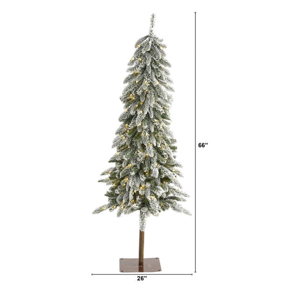 Nearly Natural 5.5 ft Snow-flocked Washington Alpine artificial Christmas Tree, pre-lit on Tampa Home & Garden Store