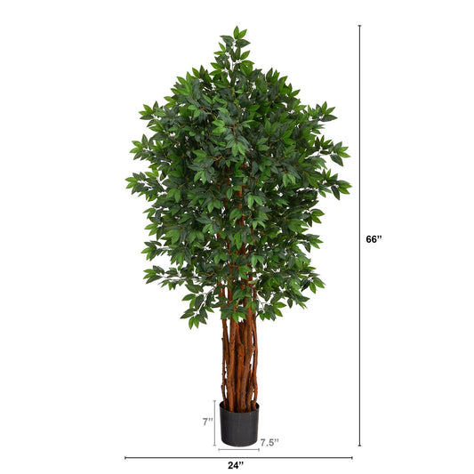 5.5’ Lychee Artificial Tree with Natural Trunk - Tampa Home & Garden Store