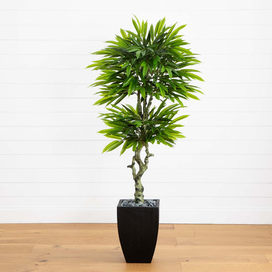 5.5’ Mango Artificial Tree in Black Wash Planter (Indoor/Outdoor) - Tampa Home & Garden Store