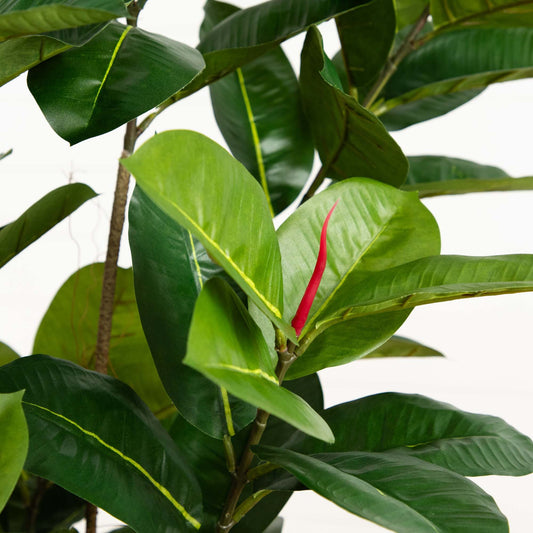 5.5’ Oak Artificial Tree by Nearly Natural UV resistant indoor/outdoor glossy green leaves on Tampa Home & Garden Store