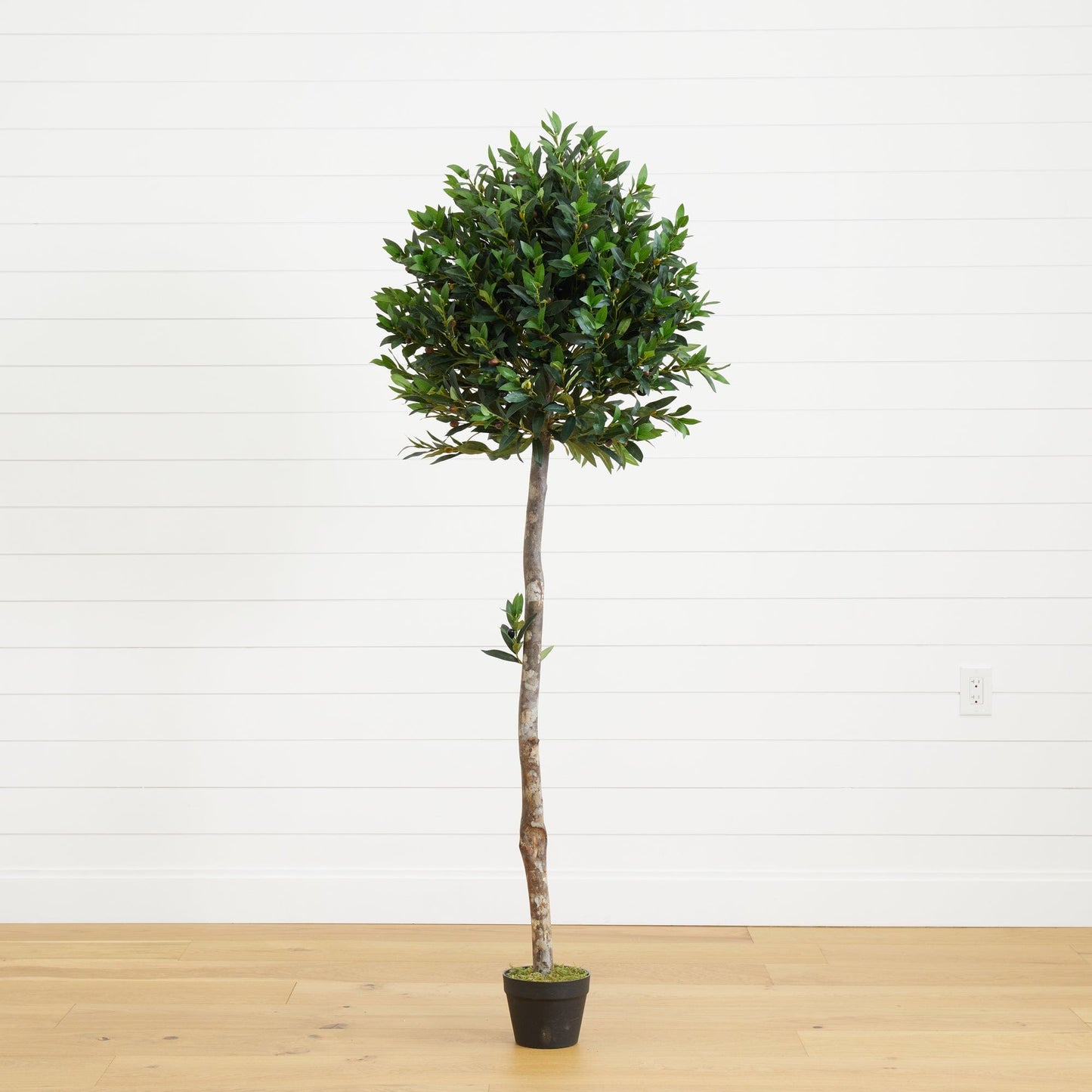 5.5' Árbol Artificial Topiario de Olivo Resistente a los Rayos UV (Interior/Exterior)
