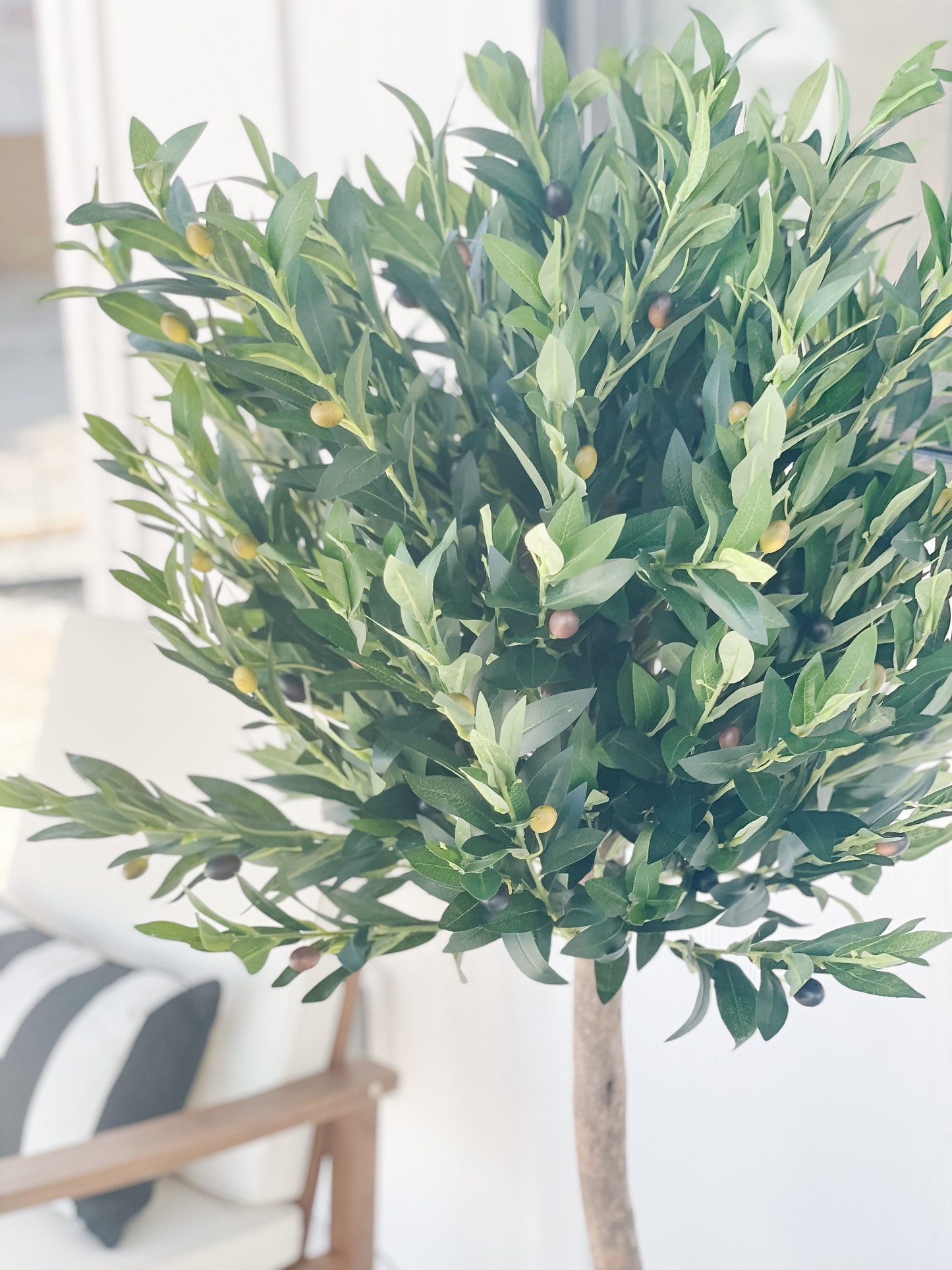 5.5' Árbol Artificial Topiario de Olivo Resistente a los Rayos UV (Interior/Exterior)