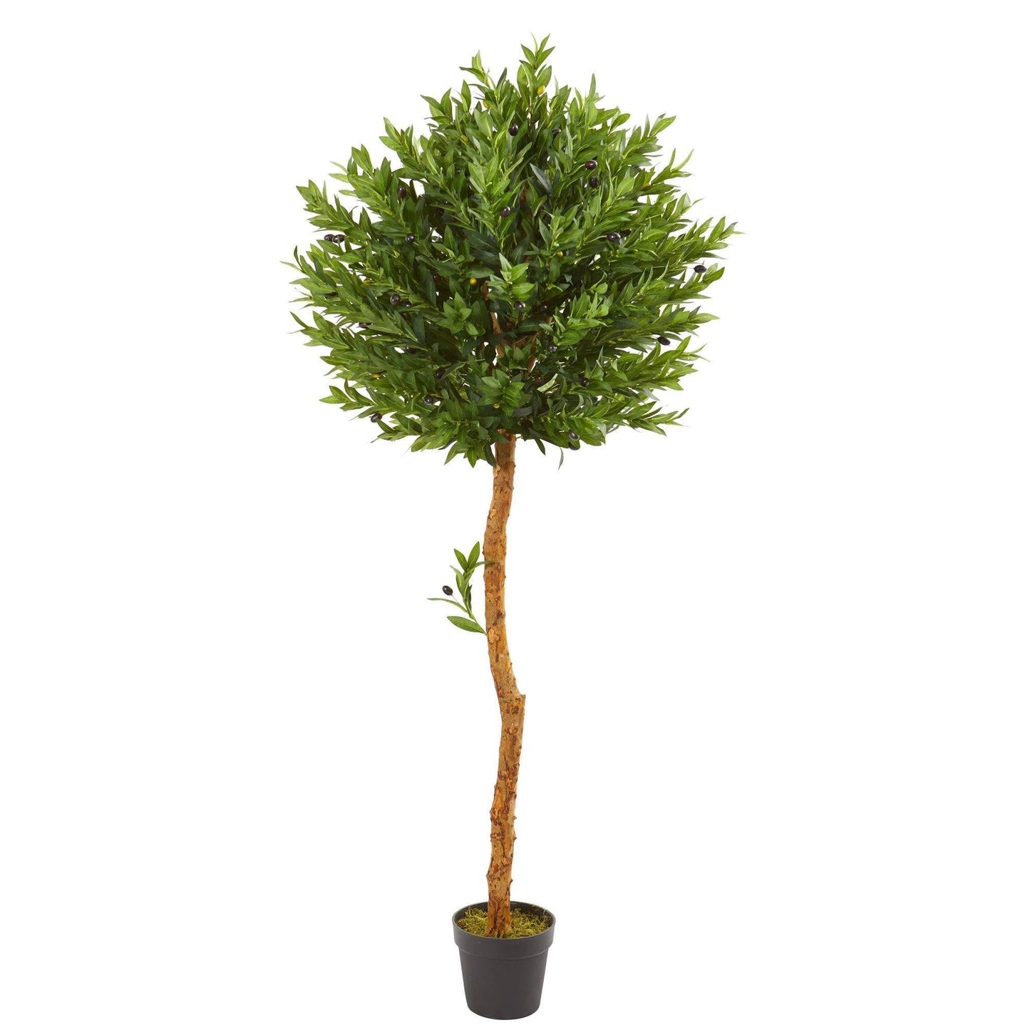 5.5' Árbol Artificial Topiario de Olivo Resistente a los Rayos UV (Interior/Exterior)