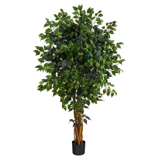5.5 ft Palace Ficus artificial tree by Nearly Natural in a black planter on Tampa Home & Garden Store