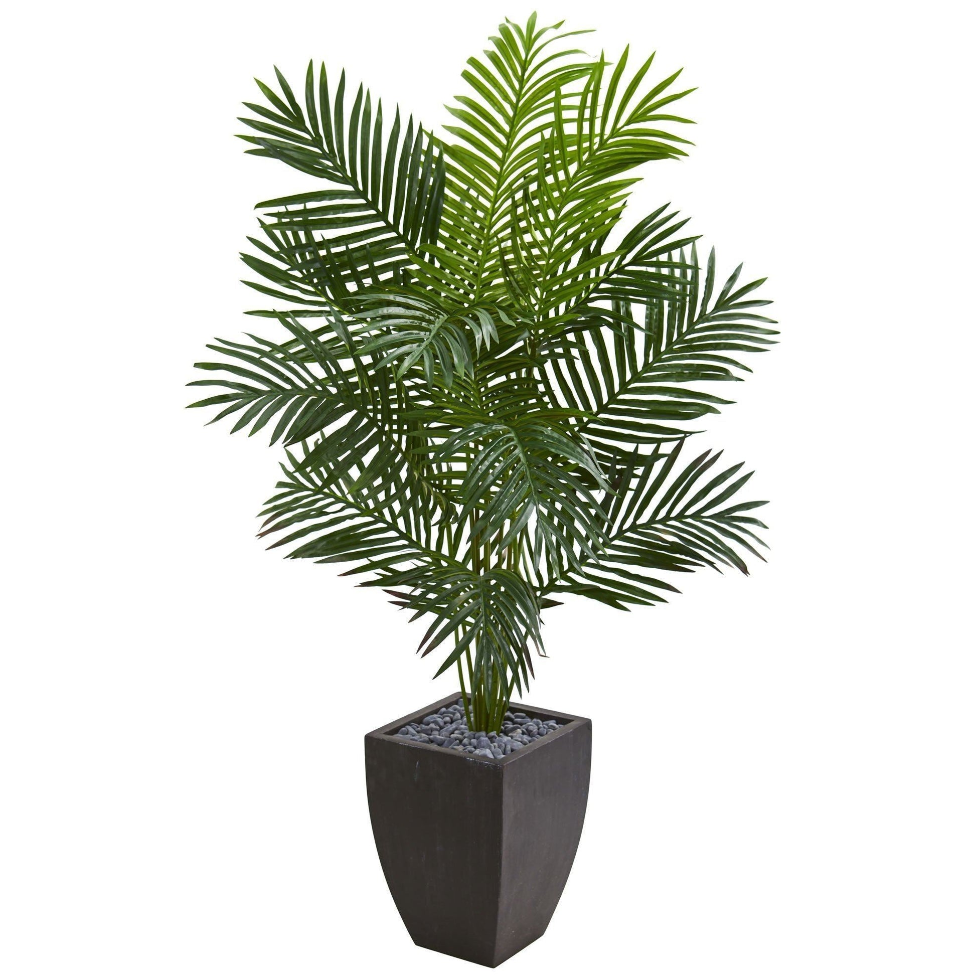 Paradise artificial palm tree Nearly Natural in a black planter, 5.5 ft tall with lush fronds on Tampa Home & Garden Store