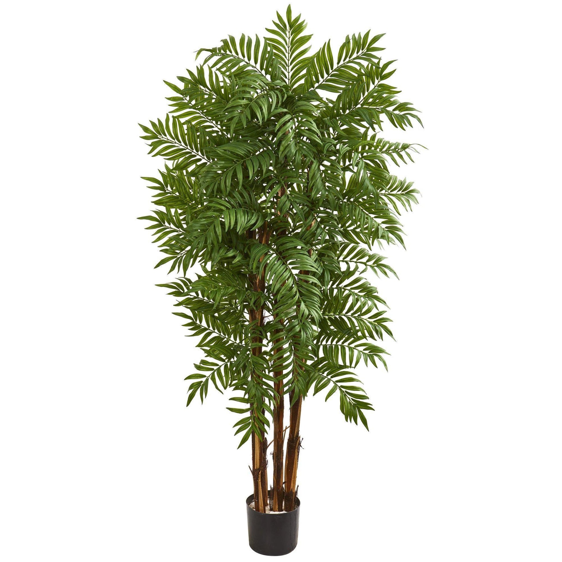 5.5' Parlour Artificial Palm Tree with green fronds on multiple trunks in a black pot Nearly Natural on Tampa Home & Garden Store