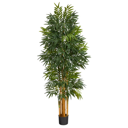 5.5’ Phoenix Artificial Palm tree with Natural Trunk - Tampa Home & Garden Store