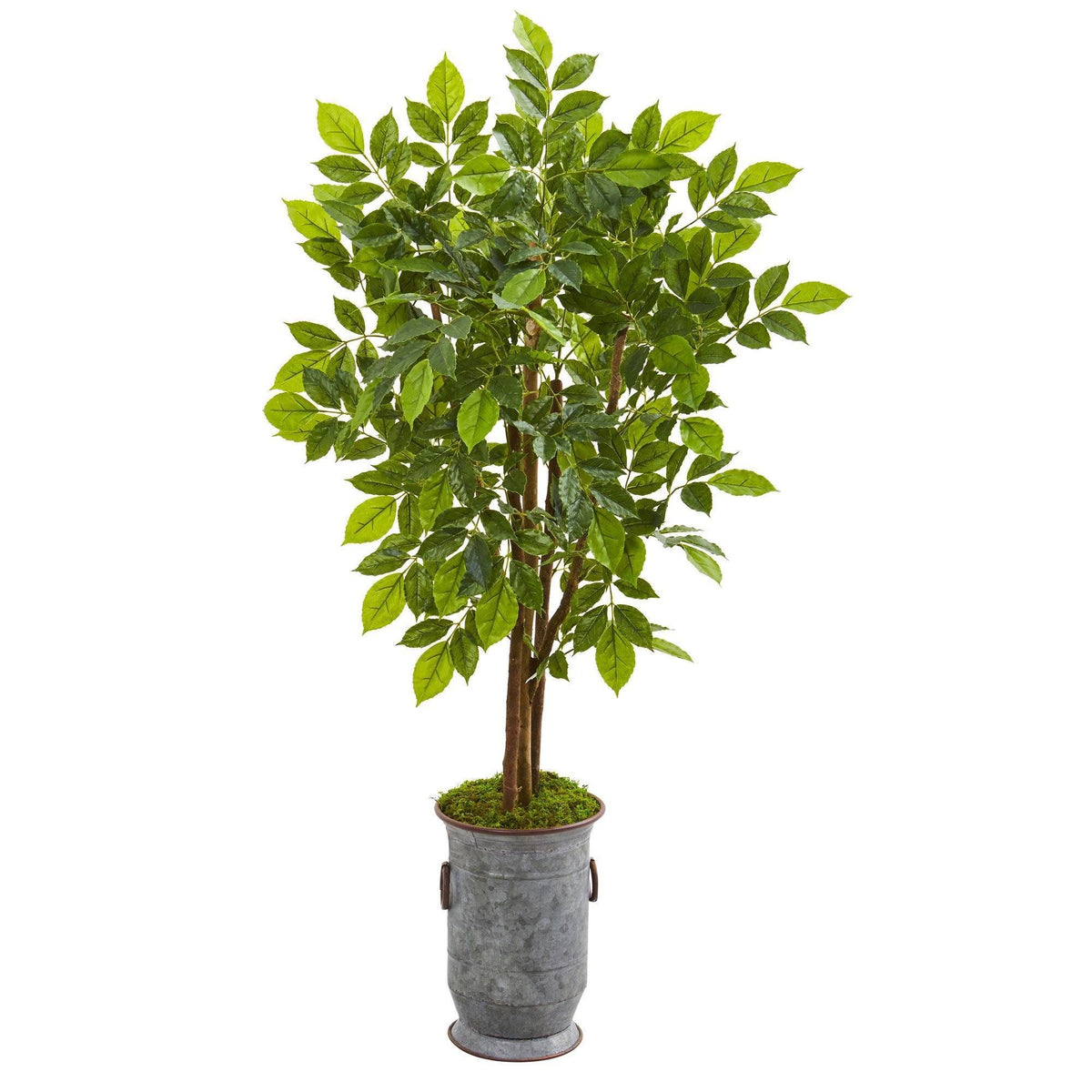 55” River Birch artificial tree by Nearly Natural in gray planter with green leaves on Tampa Home & Garden Store