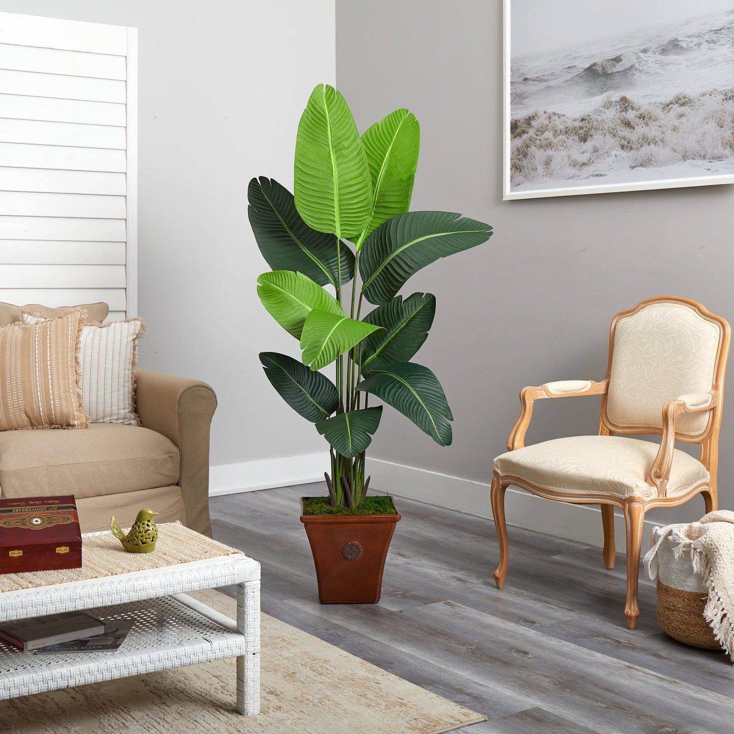 5.5' Traveler's Palm Artificial Tree in Brown Planter with large green leaves indoors on Tampa Home & Garden Store
