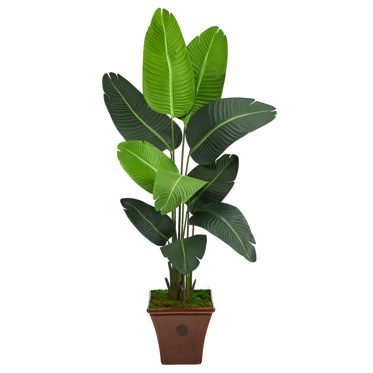 5.5 ft Traveler's Palm artificial tree in brown planter by Nearly Natural, lush green leaves on Tampa Home & Garden Store