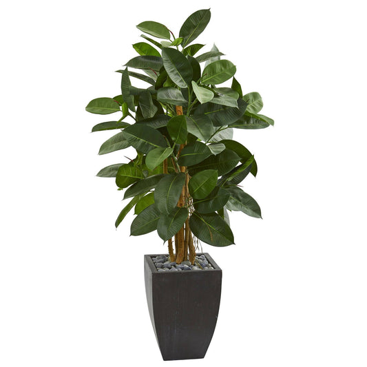56” Artificial Rubber Tree in Black Planter - Tampa Home & Garden Store