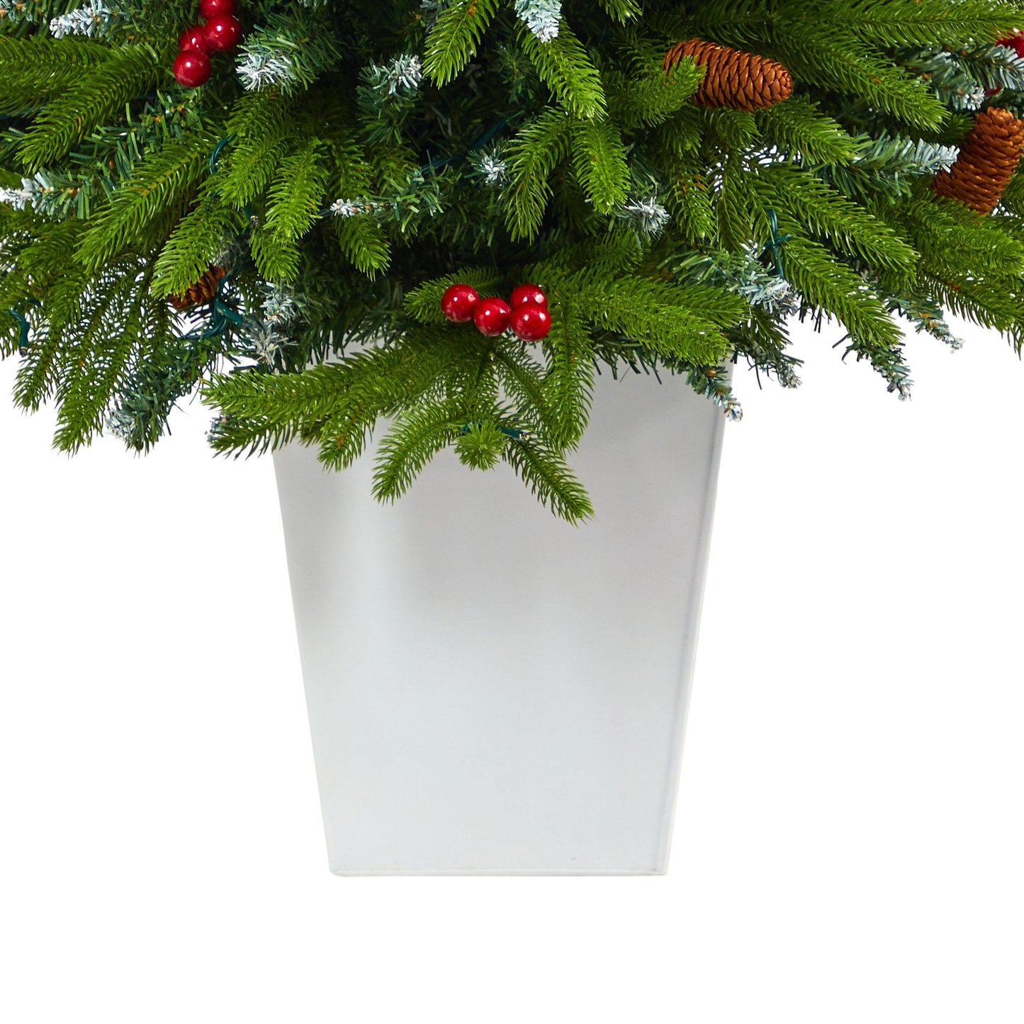 56” Snow Tipped Spruce with frosted berries and pinecones, 100 LED lights in white metal planter on Tampa Home & Garden Store