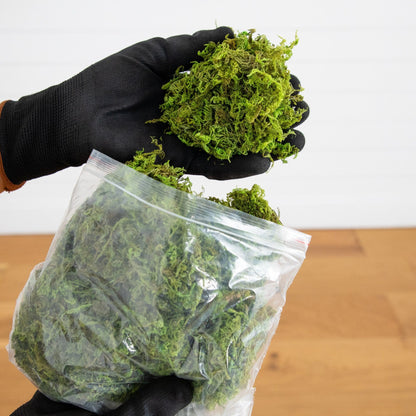 Green artificial moss bundle in a plastic bag held by gloved hand on Tampa Home & Garden Store