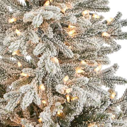 57-inch Fraser fir tree with 300 warm white lights and flexible branches by Nearly Natural on Tampa Home & Garden Store