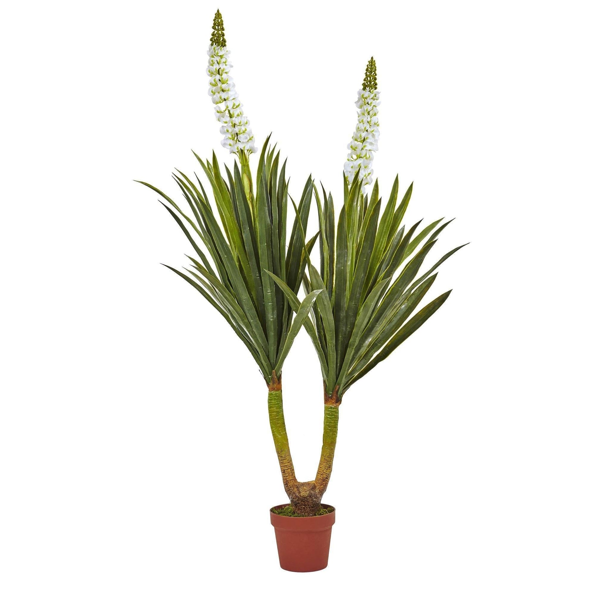 Nearly Natural 57in Flowering Yucca Plant with two trunks and blooms in a terracotta pot on Tampa Home & Garden Store
