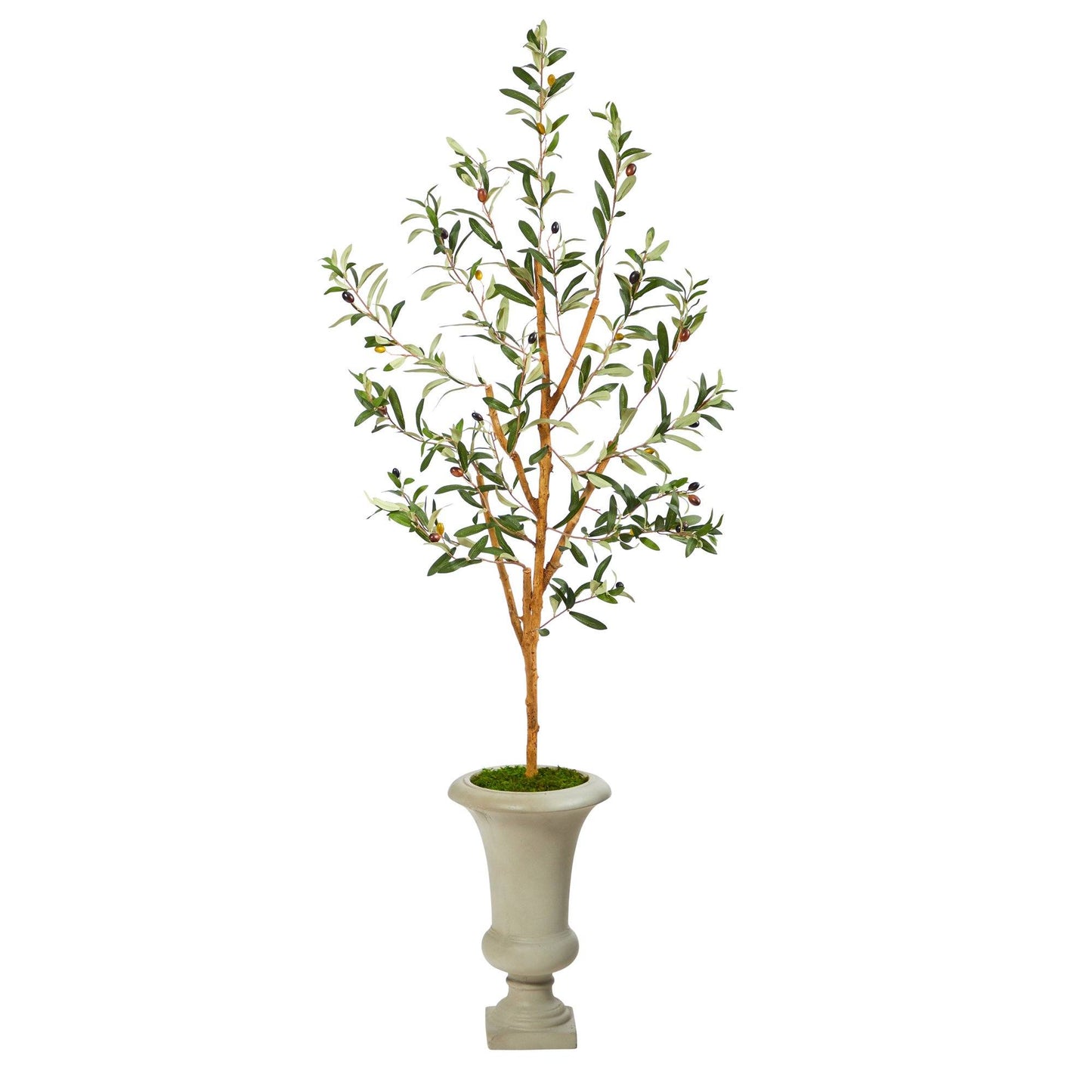 57” Olive Artificial Tree in sand urn Nearly Natural, olive leaves with olives in moss base on Tampa Home & Garden Store