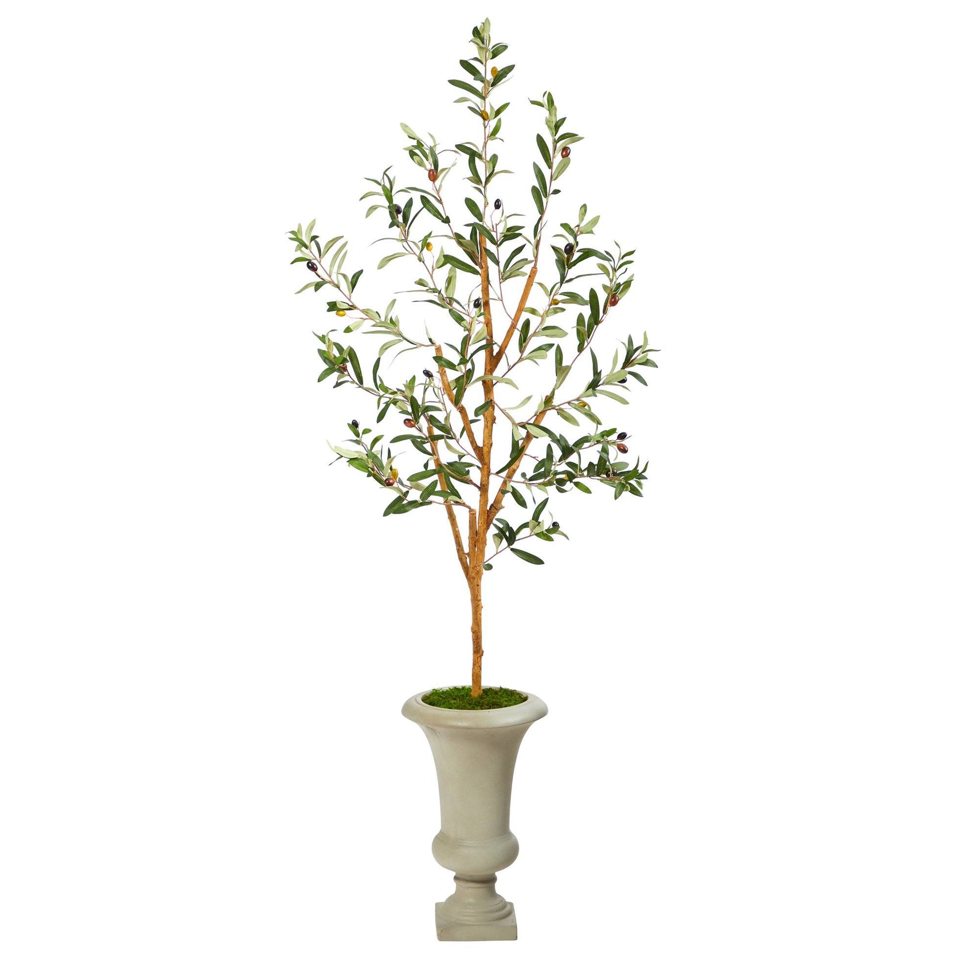 57” Olive Artificial Tree in sand urn Nearly Natural, olive leaves with olives in moss base on Tampa Home & Garden Store