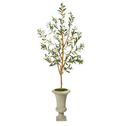57” Olive Artificial Tree in sand urn Nearly Natural, olive leaves with olives in moss base on Tampa Home & Garden Store