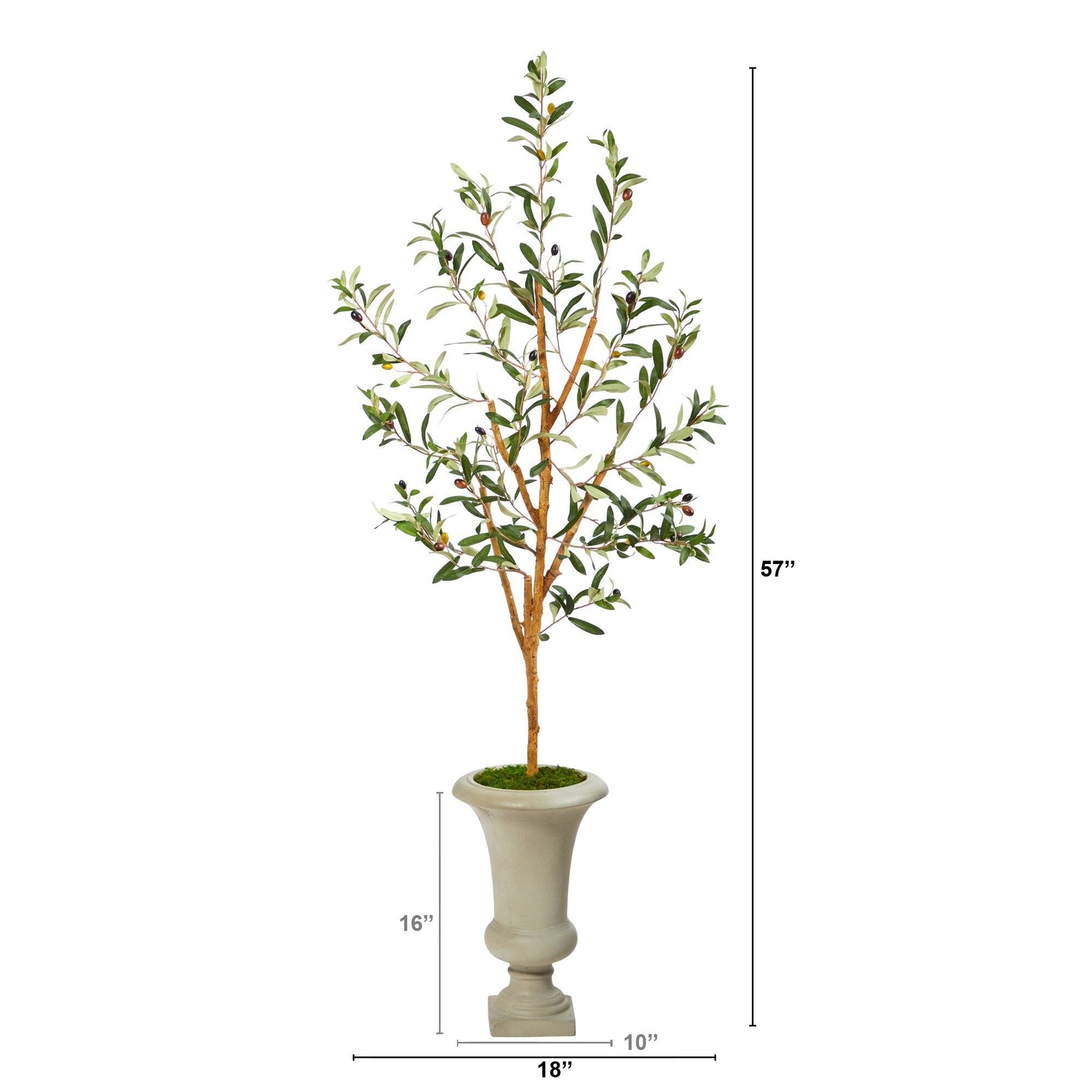 57in Olive artificial tree Nearly Natural in a sand-colored urn on Tampa Home & Garden Store
