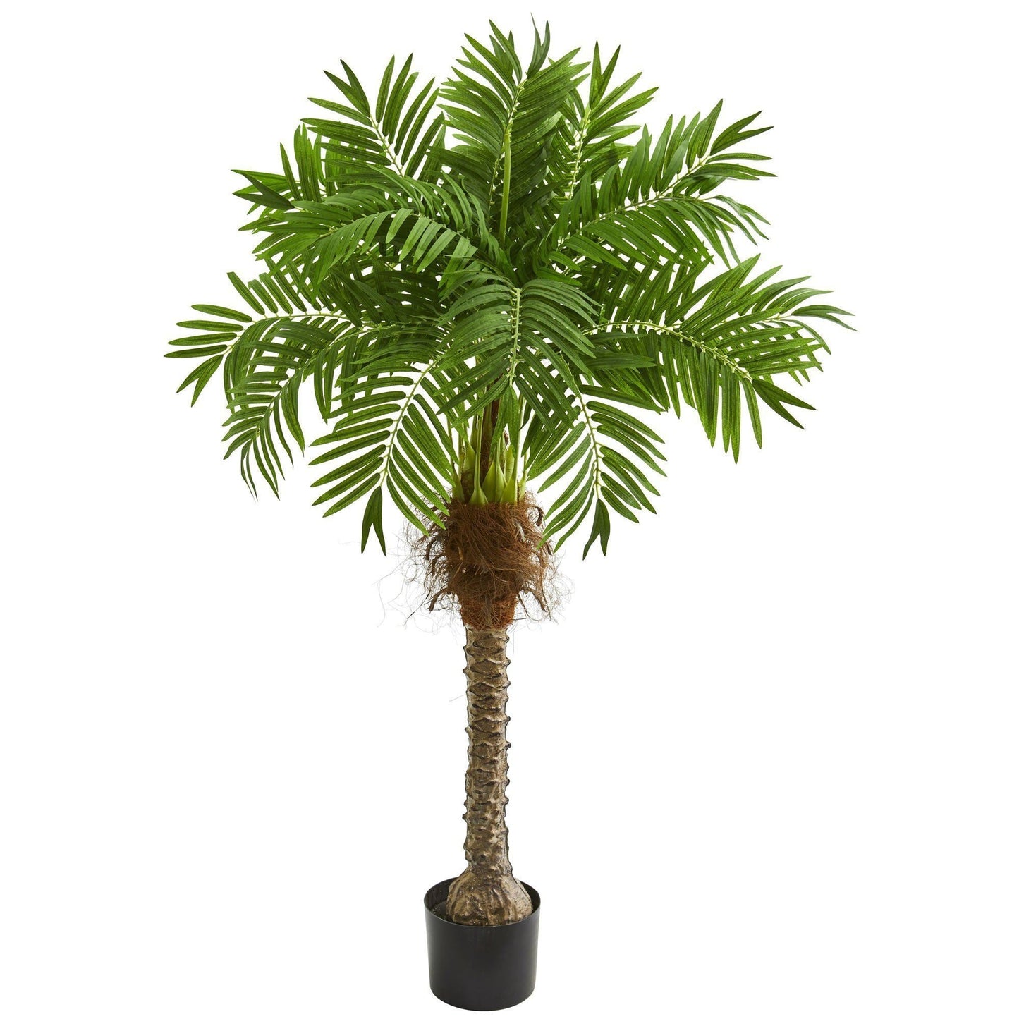 58” Robellini Palm Artificial Tree by Nearly Natural with lush green fronds in a black pot on Tampa Home & Garden Store