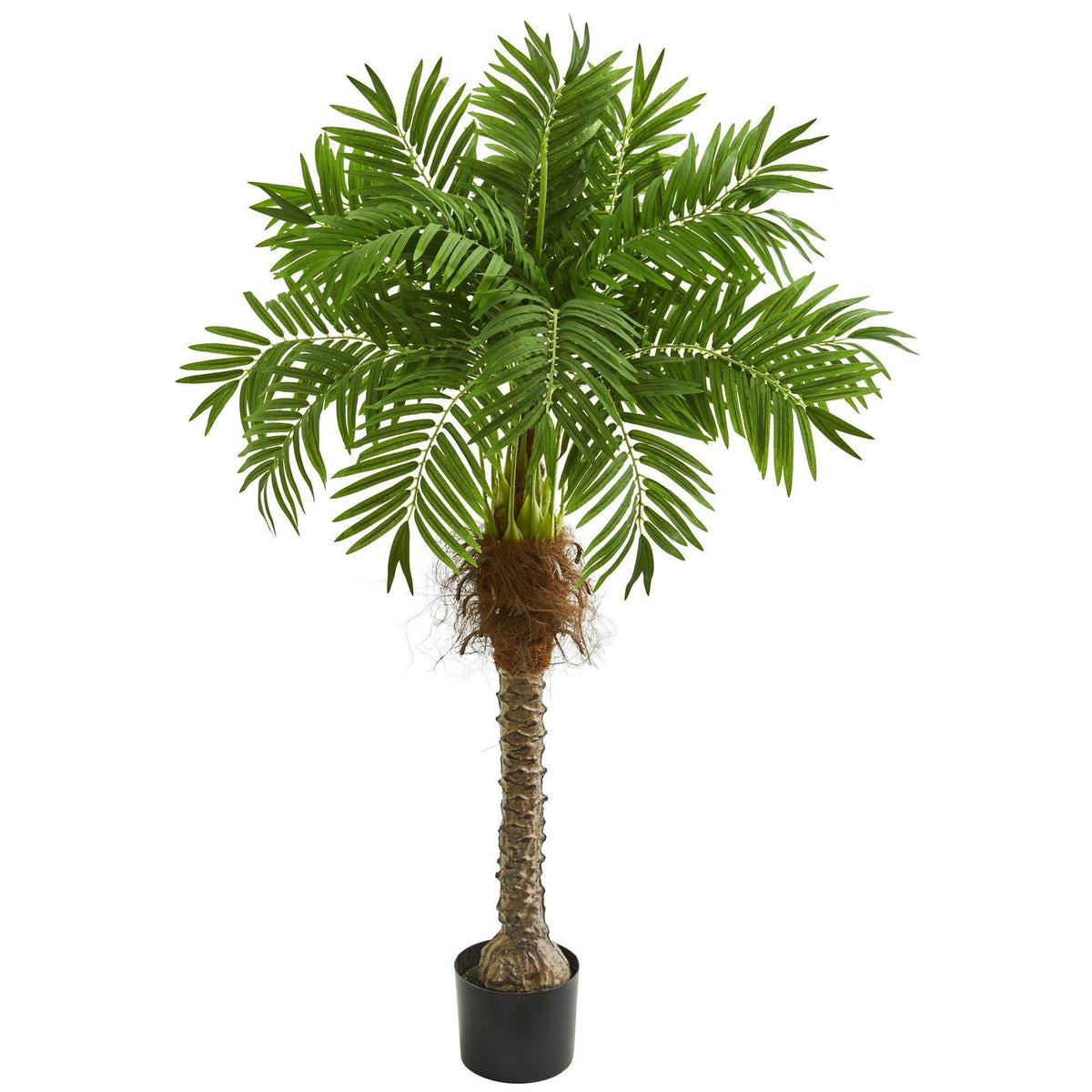 58” Robellini Palm Artificial Tree by Nearly Natural with lush green fronds in a black pot on Tampa Home & Garden Store