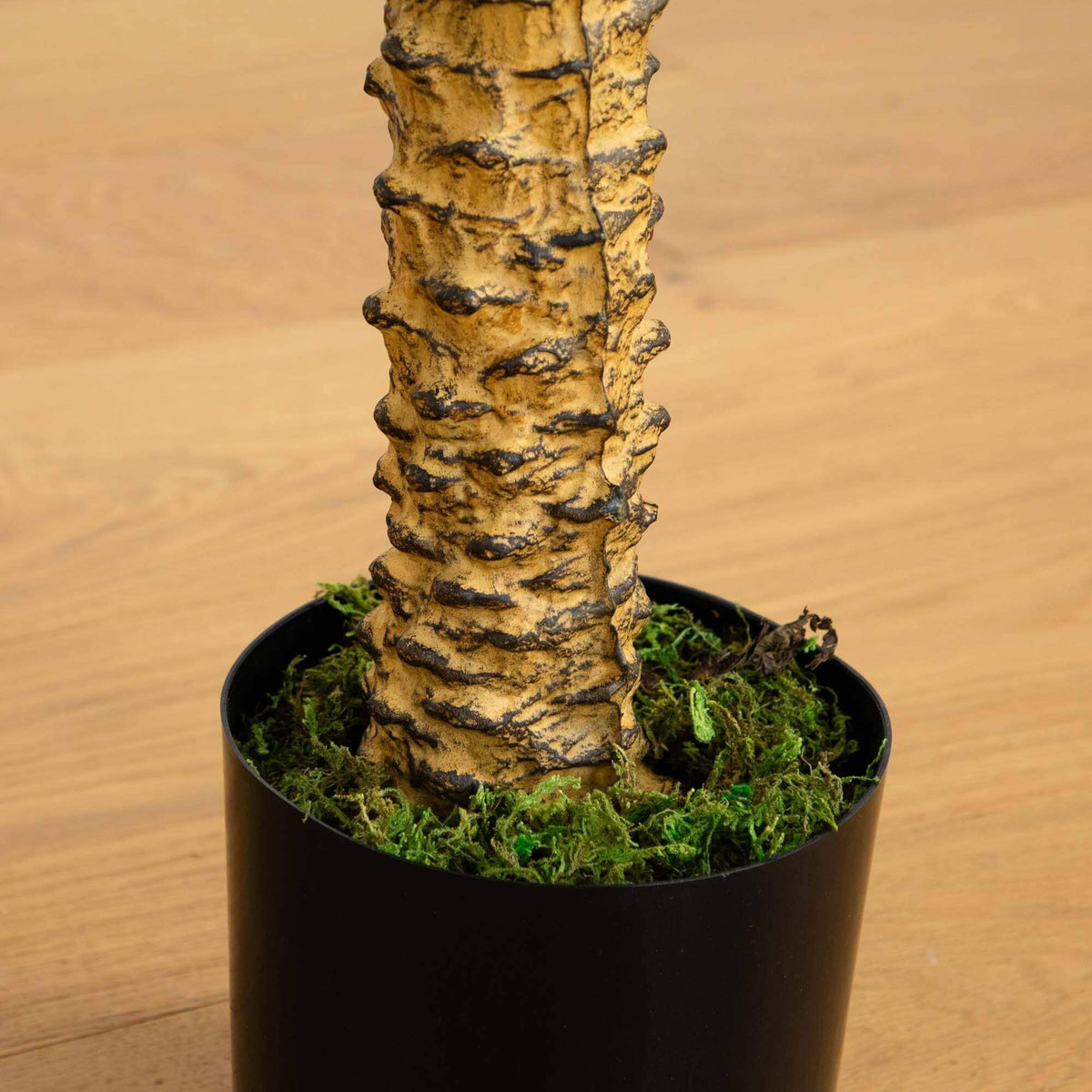 58in Robellini Palm artificial tree trunk in black pot with green moss Nearly Natural on Tampa Home & Garden Store