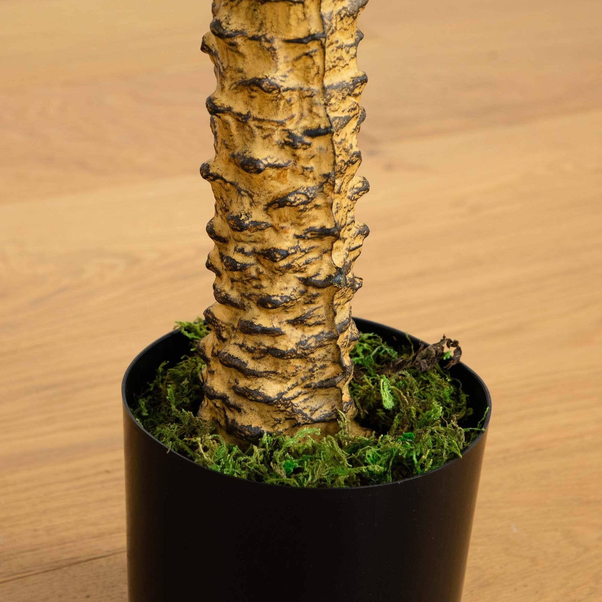 58in Robellini Palm artificial tree trunk in black pot with green moss Nearly Natural on Tampa Home & Garden Store