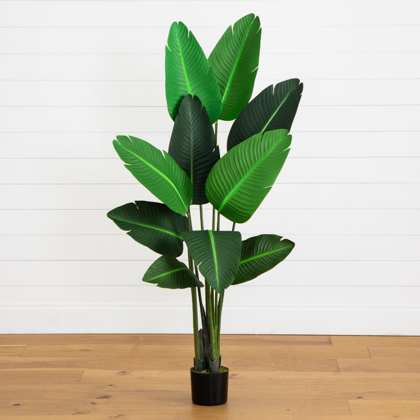 58in Traveler's Palm artificial tree by Nearly Natural with green leaves in a black pot on Tampa Home & Garden Store