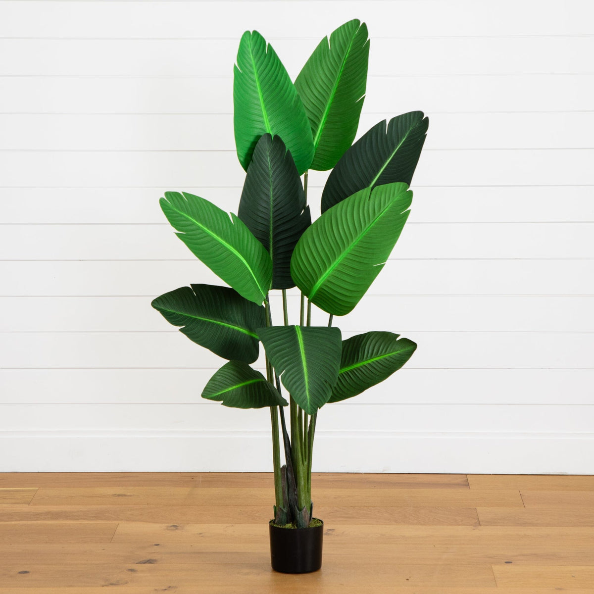 58in Traveler's Palm artificial tree by Nearly Natural with green leaves in a black pot on Tampa Home & Garden Store