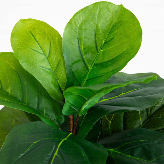 Fiddle leaf artificial tree leaves close-up, Nearly Natural large green real-touch foliage on Tampa Home & Garden Store