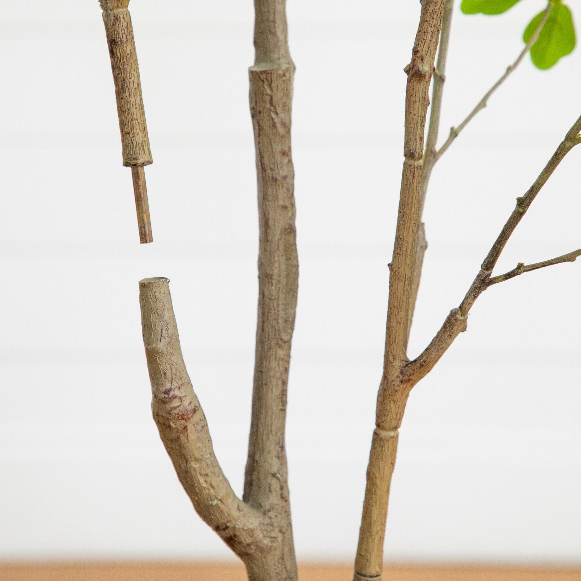 5' Artificial Dogwood Tree Nearly Natural with brown trunks and sparse foliage on Tampa Home & Garden Store