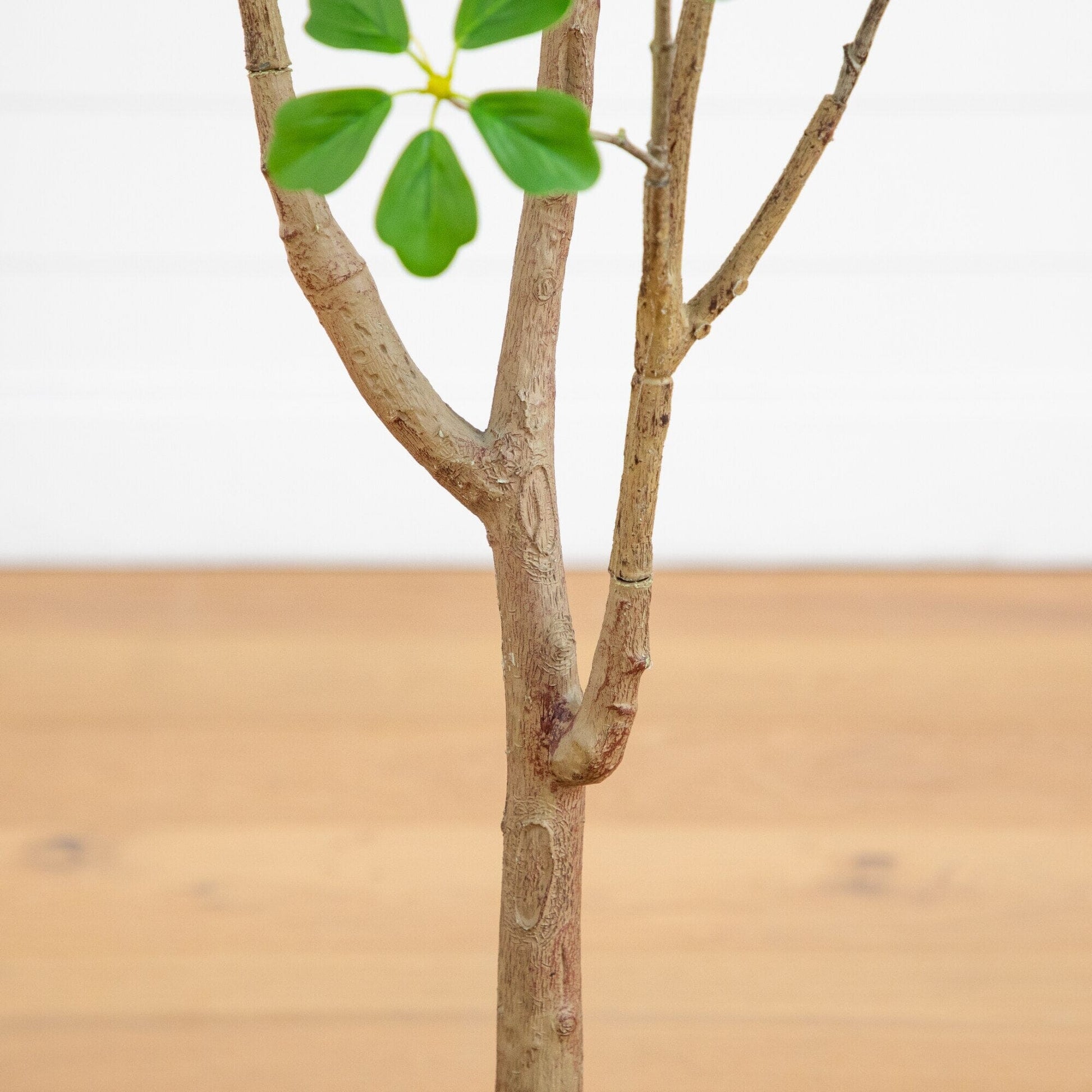5' Artificial Dogwood Tree with Real Touch Leaves Nearly Natural, green leaves and brown trunk on Tampa Home & Garden Store
