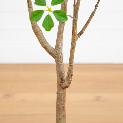 5' Artificial Dogwood Tree with Real Touch Leaves Nearly Natural, green leaves and brown trunk on Tampa Home & Garden Store