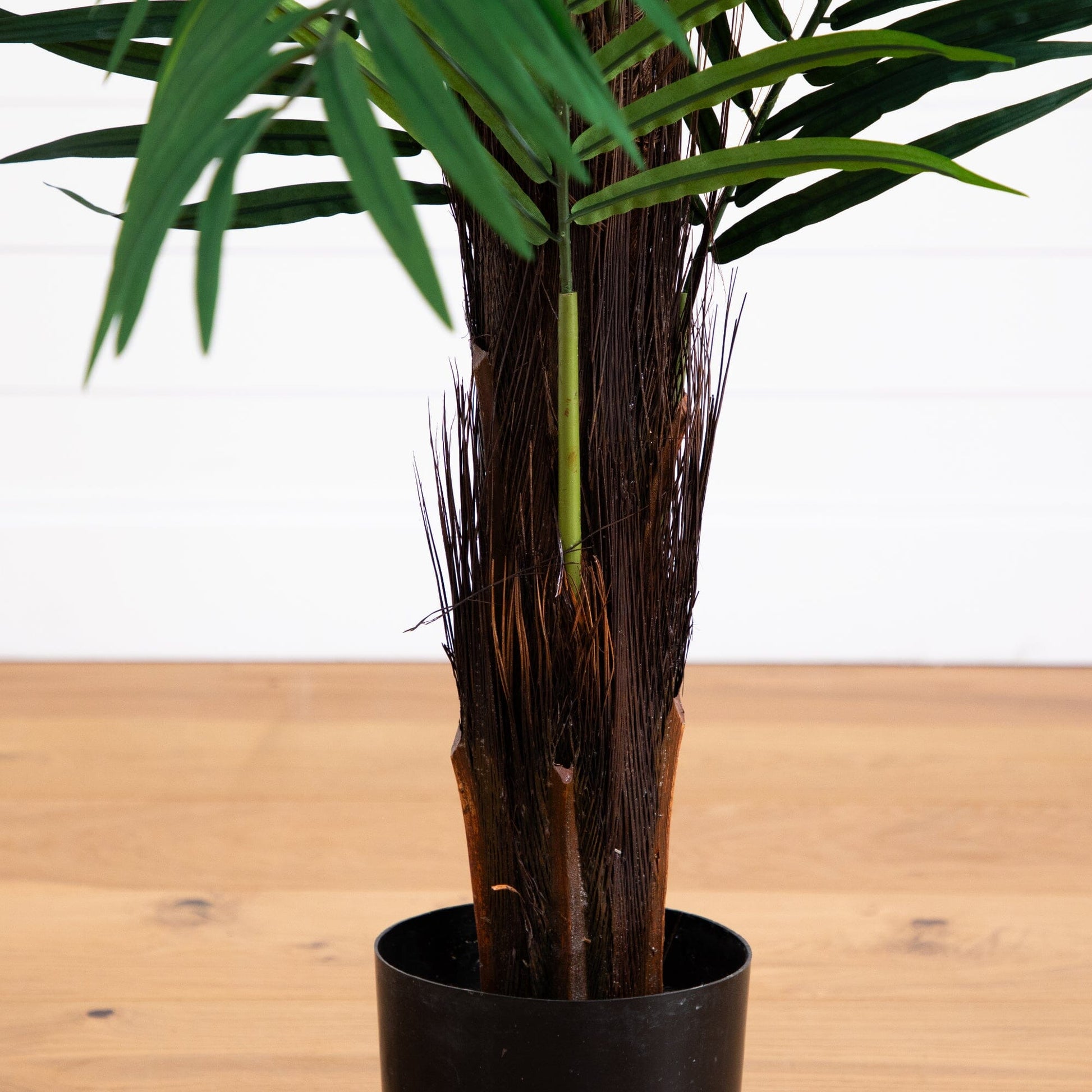 6’ Areca Palm Tree with green fronds, dark brown trunk in black planter Nearly Natural on Tampa Home & Garden Store