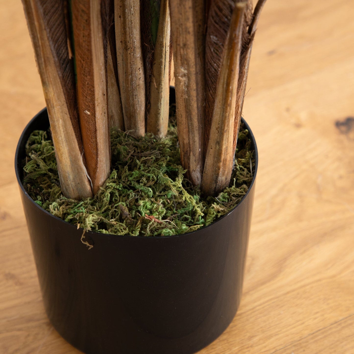 6-ft Areca Palm Tree artificial trunks in a black pot with moss by Nearly Natural on Tampa Home & Garden Store
