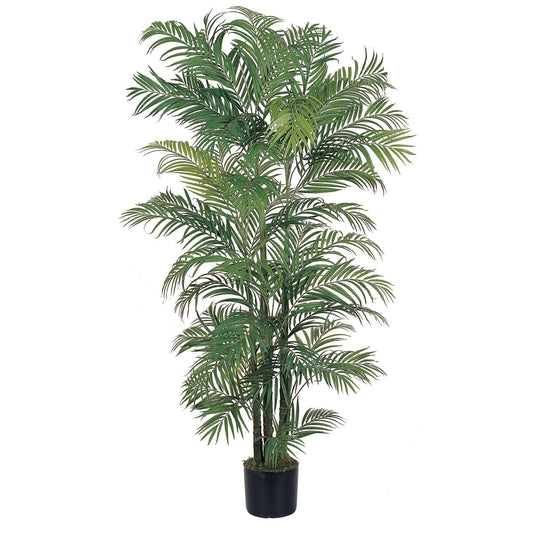 6' Areca Silk Palm Tree - Tampa Home & Garden Store