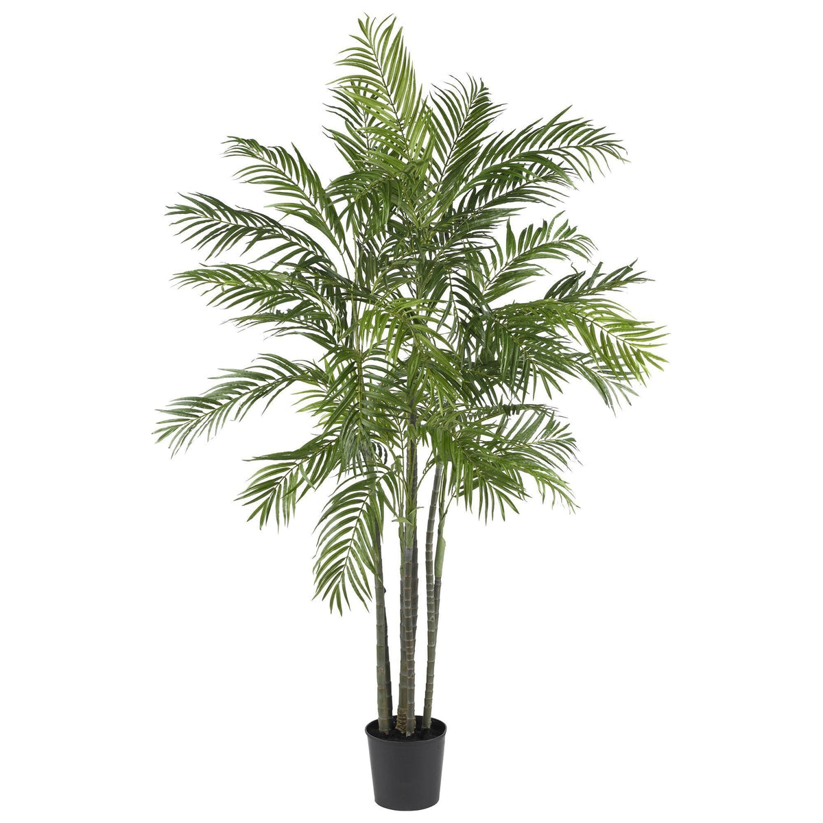 6 ft Nearly Natural Tropic Areca Palm Silk Tree in black planter on Tampa Home & Garden Store