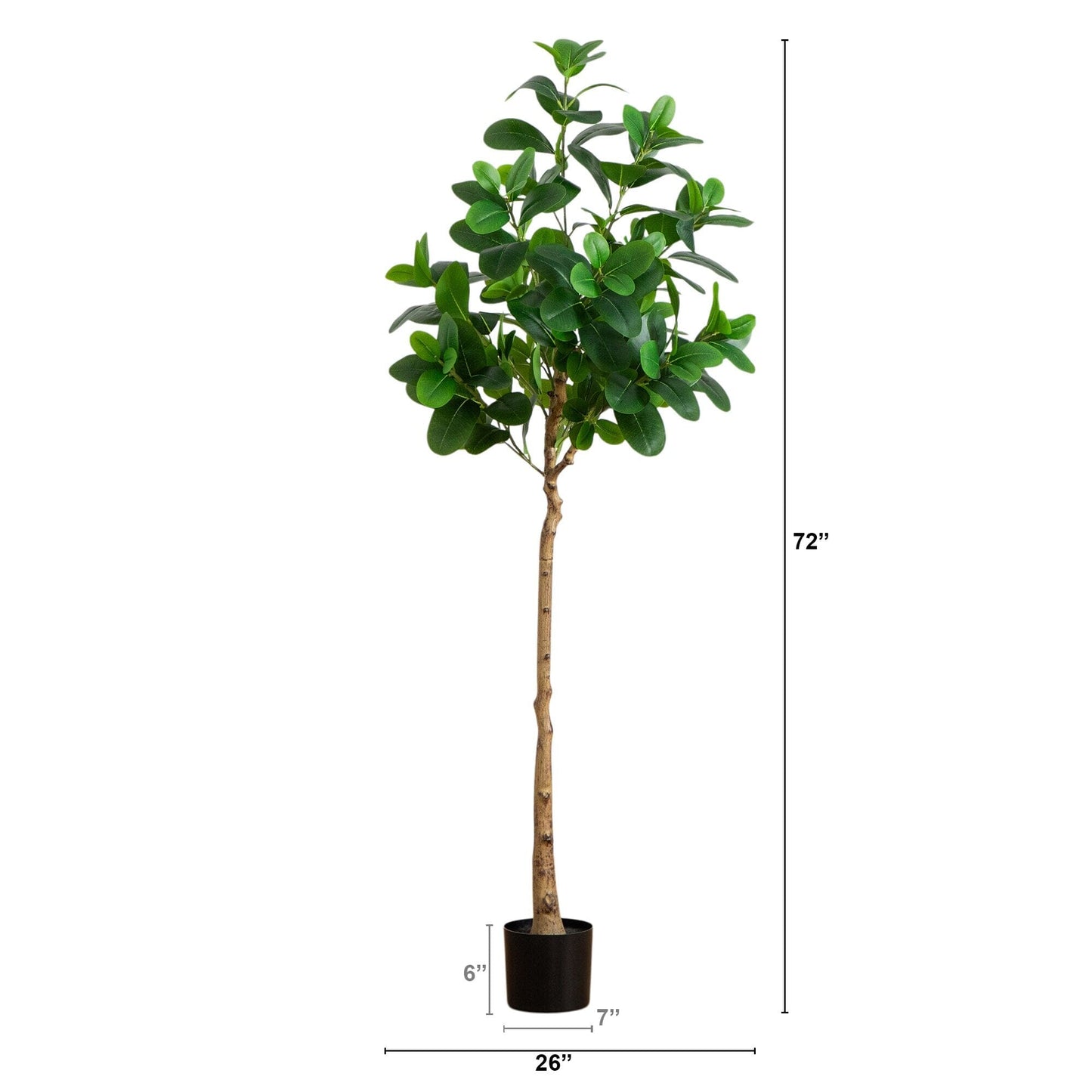 Premium Indoor Decor and 6 ft Audrey Ficus Tree