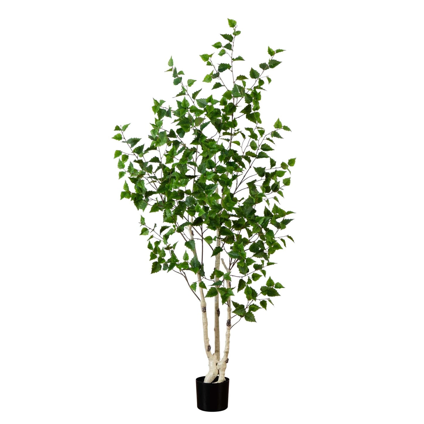 Bouleau artificiel de 1,8 m avec feuilles au toucher naturel