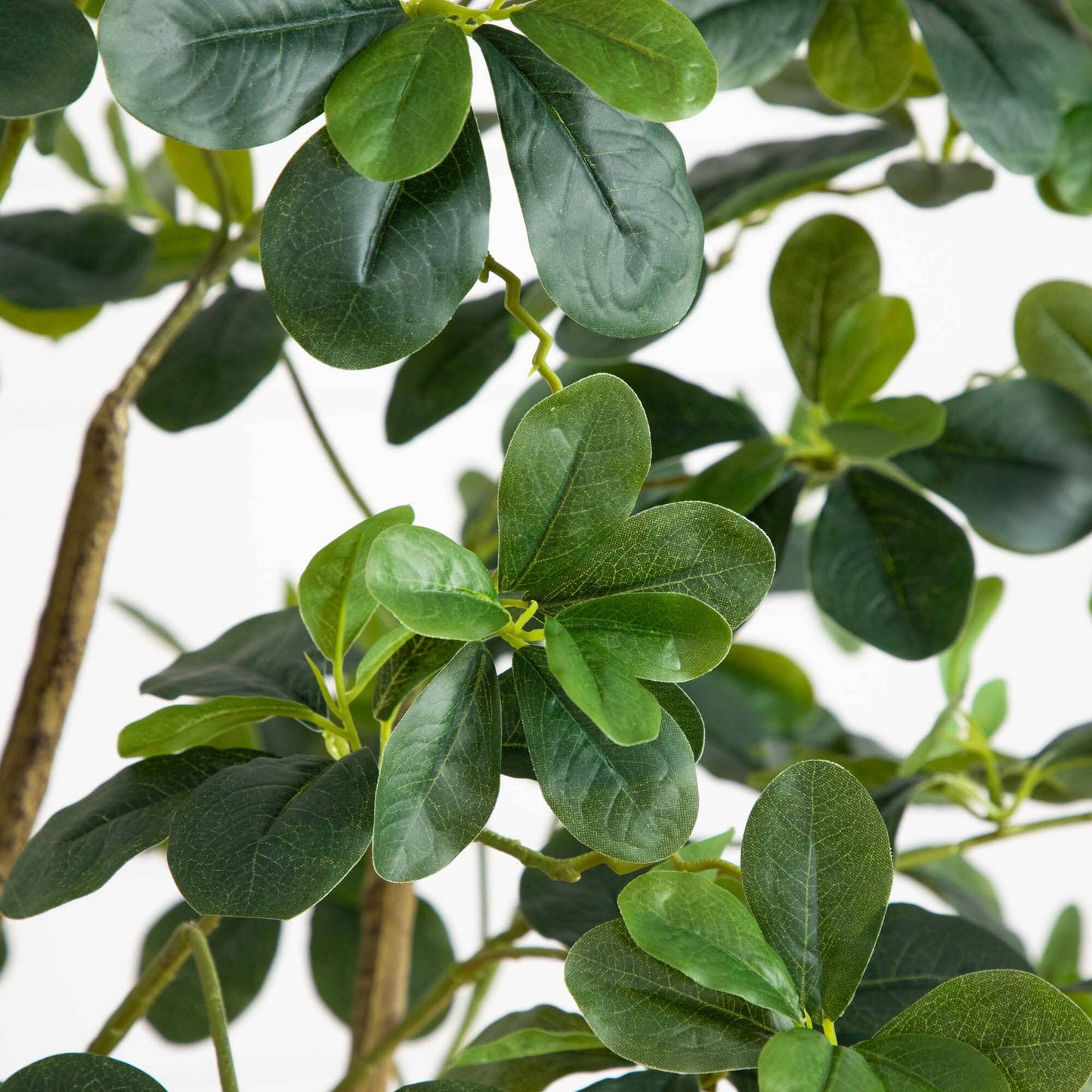 Artificial Black Olive Tree And Garden Decor