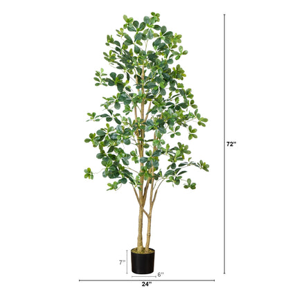 Artificial Black Olive Tree And Garden Decor