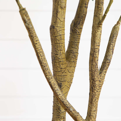 Artificial Black Olive Tree And Garden Decor