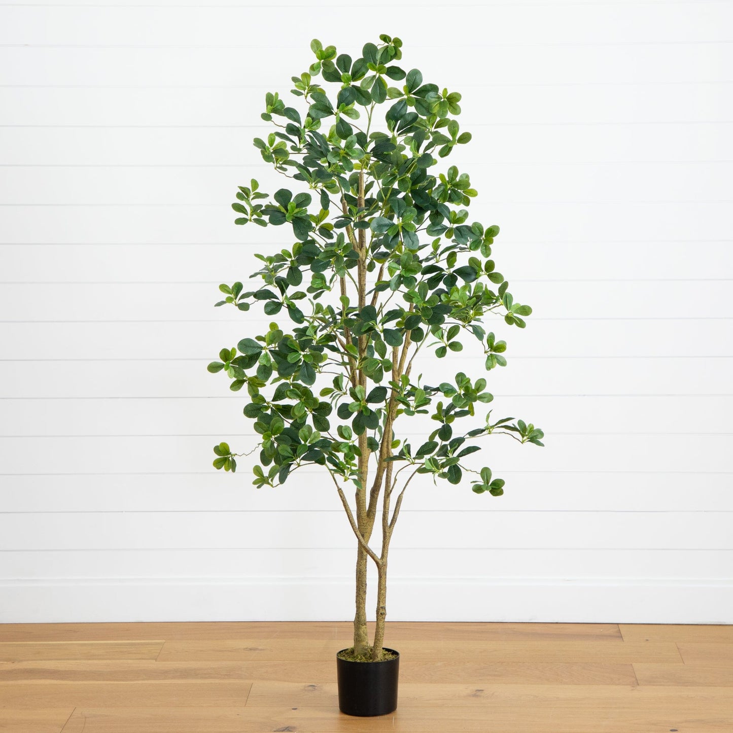 Artificial Black Olive Tree And Garden Decor
