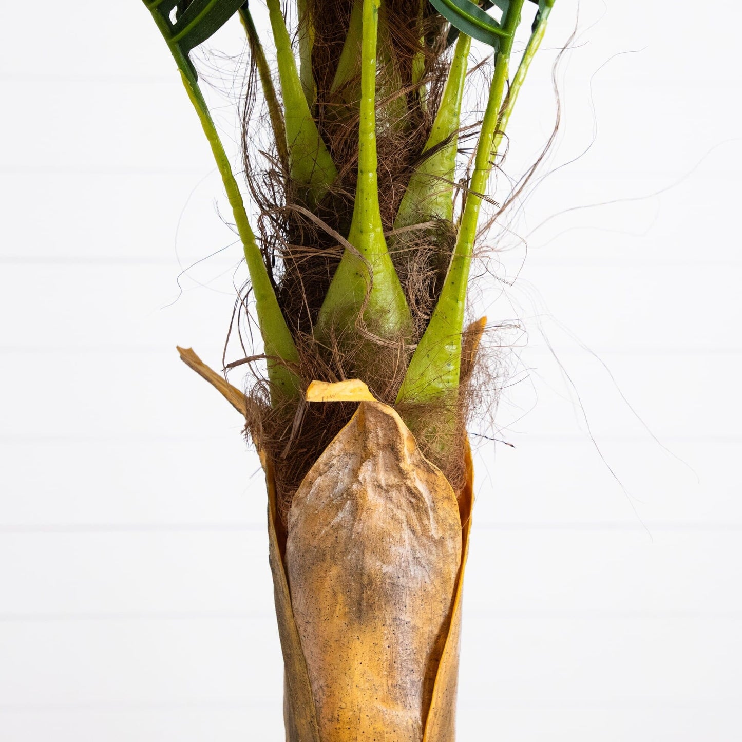 A Beautiful Artificial Coconut Palm Tree for Home
