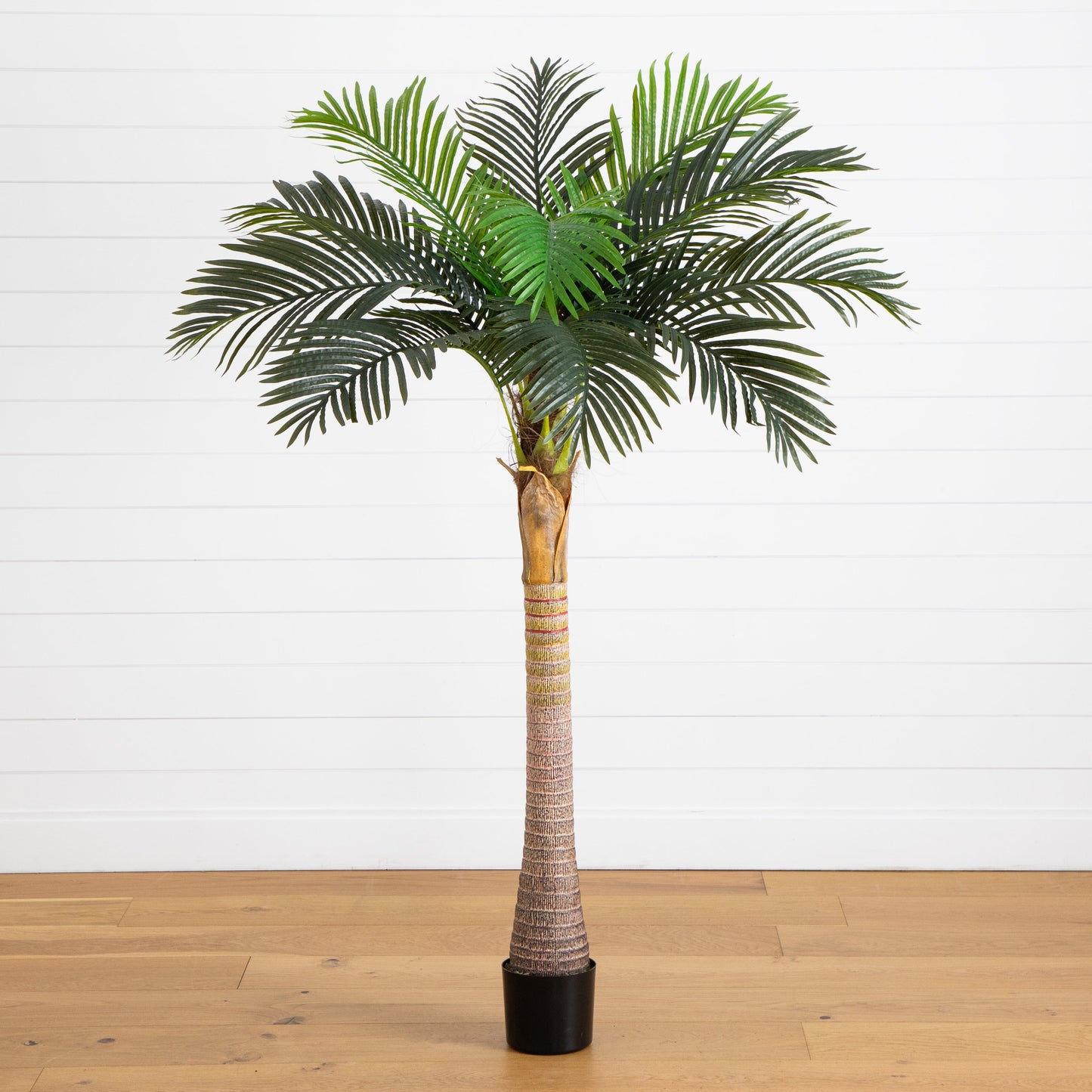A Beautiful Artificial Coconut Palm Tree for Home