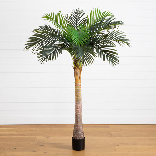6’ Nearly Natural artificial coconut palm tree with black planter, trunk and lush fronds on Tampa Home & Garden Store