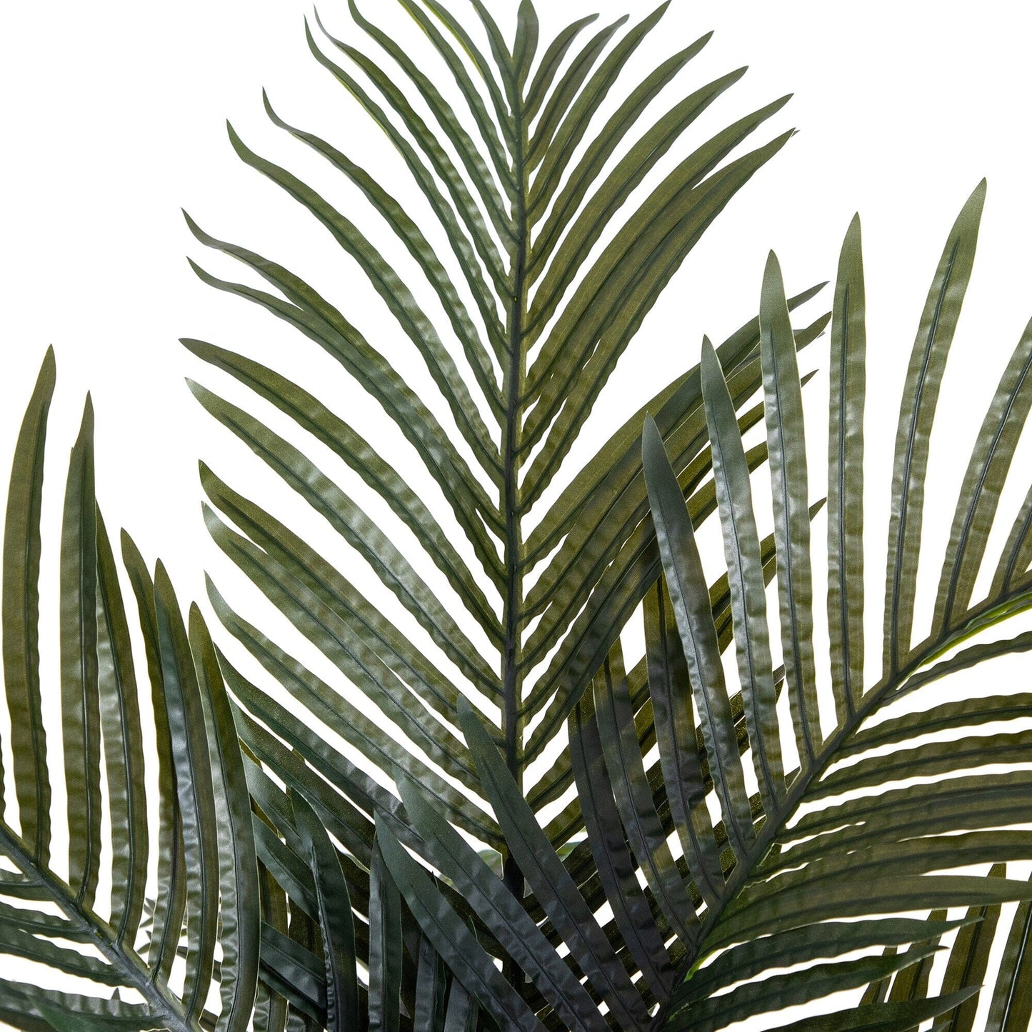 6’ artificial double stalk Golden Cane Palm Tree by Nearly Natural with dark green fronds on Tampa Home & Garden Store