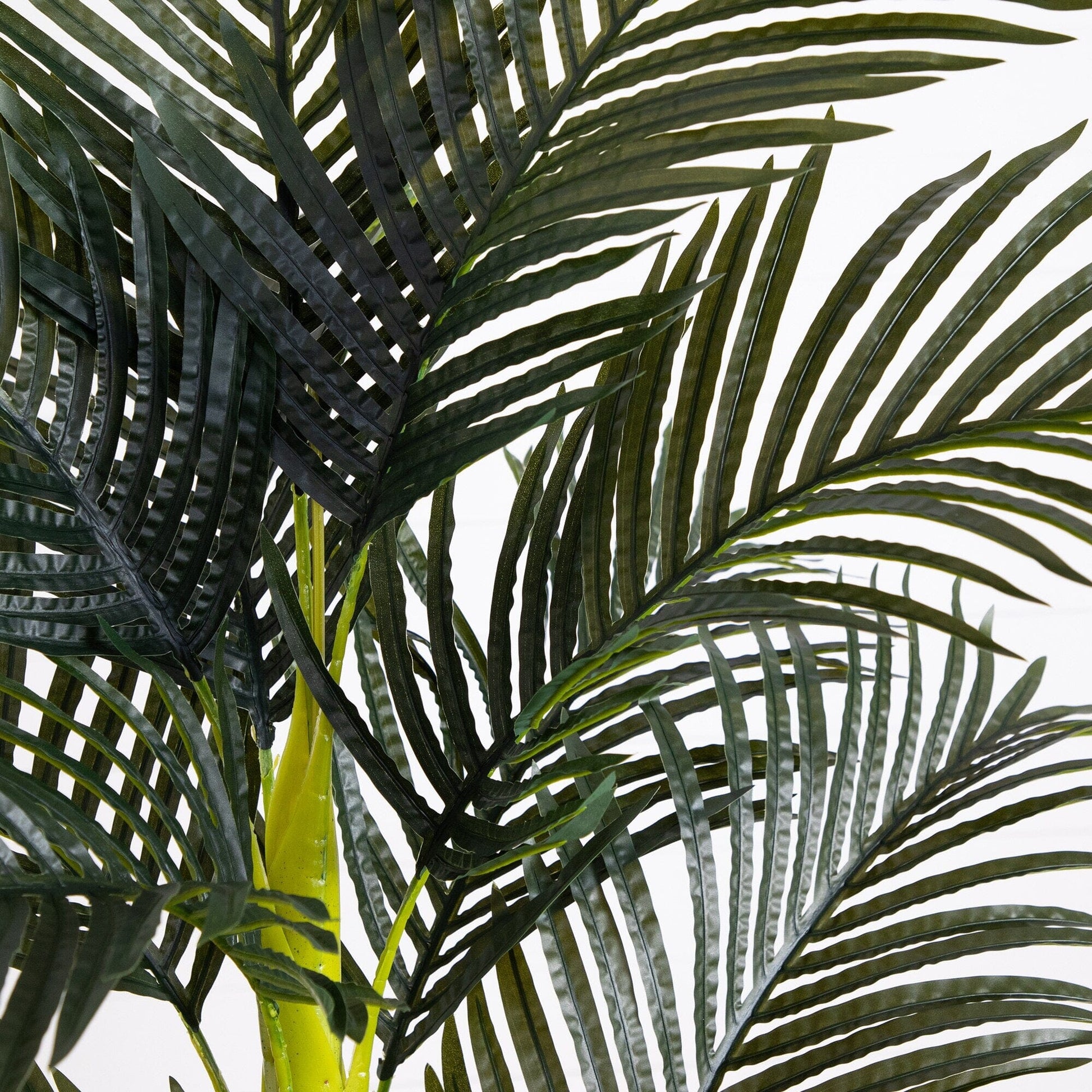 6’ Artificial Double Stalk Golden Cane Palm Tree by Nearly Natural with dark green fronds and lime trunk on Tampa Home & Garden Store